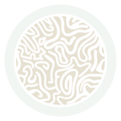 Oat Maze Bambus-Body mit Druckknöpfen, Langarm